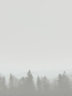 SMOKEY FOREST
