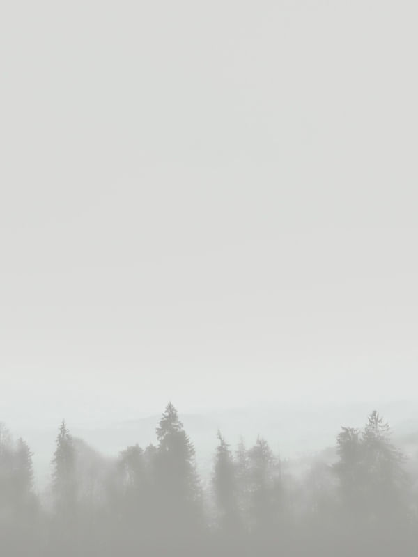 SMOKEY FOREST