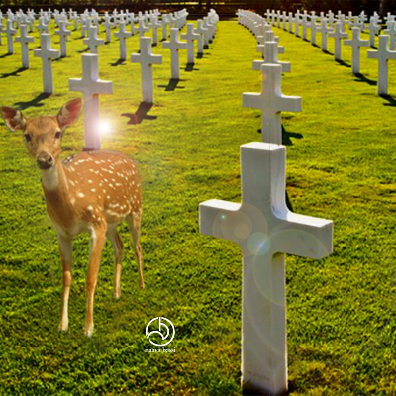 GUERRA,MORTE E NASCIMENTO