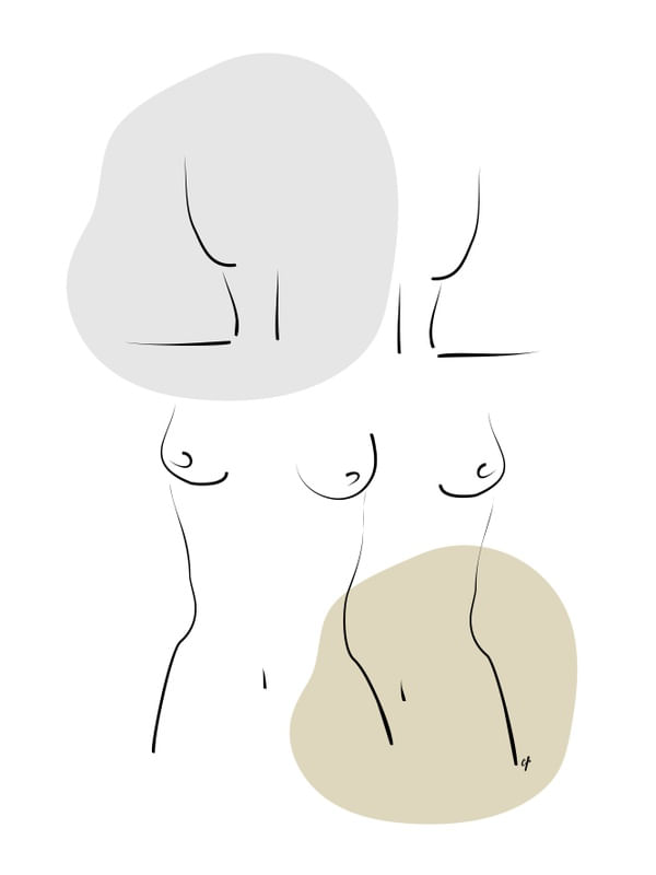 CONTORNOS FEMININOS