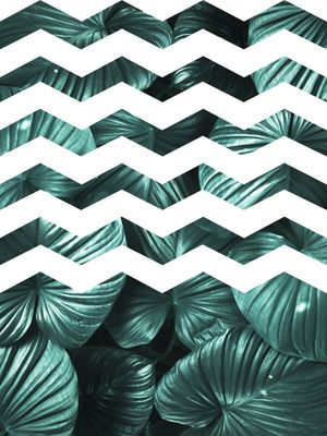 CHEVRON DE FOLHAS