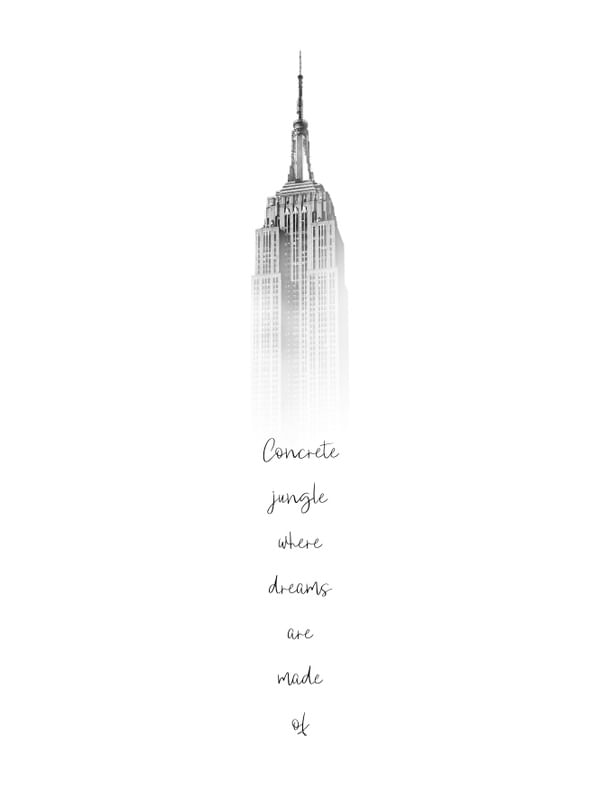 CONCRETE JUNGLE DREAMS