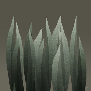 PLANTAS_TROPICAIS