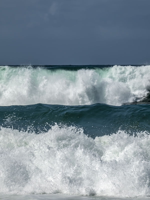 MARES DENSOS