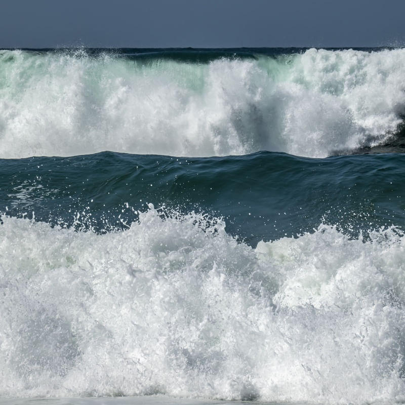 DENSOS MARES