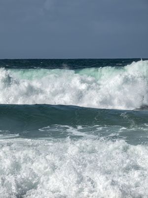 MARES UNICOS