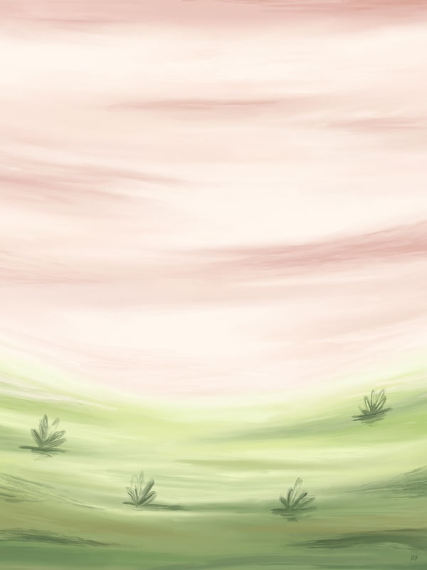 SUNRISE FIELD