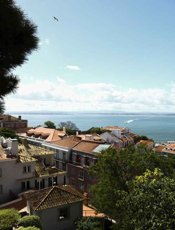 VISTA DO CASTELO