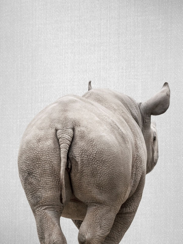 RHINO TAIL - COLORFUL
