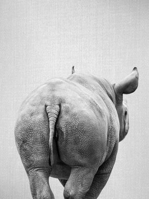 RHINO TAIL - BLACK & WHITE