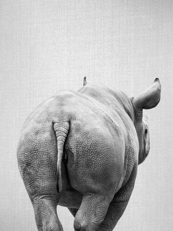 RHINO TAIL - BLACK & WHITE