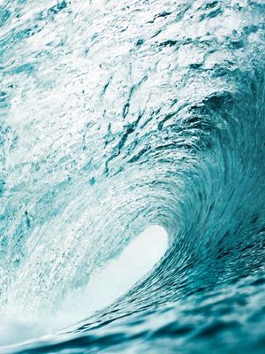 THE WAVES