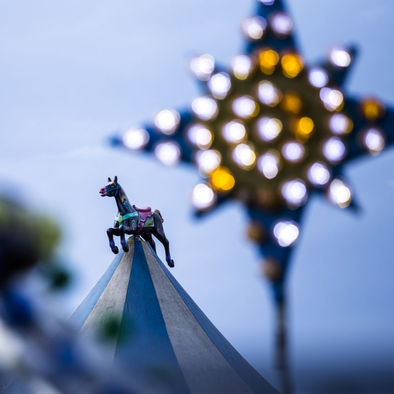 O CARROSEL E AS LUZES DO PARQUE