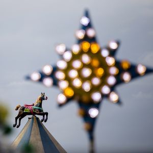 AS LUZES E O CAVALINHO DO PARQUE
