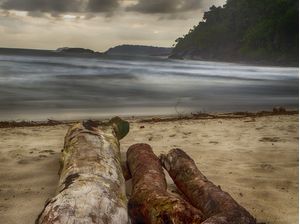 TRONCOS E AREIA
