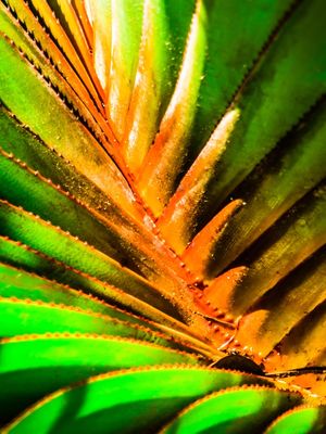 CORES DA NATUREZA_EM
