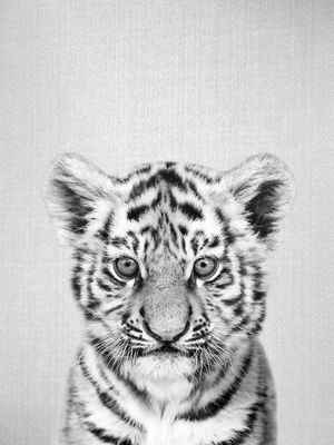 BABY TIGER - BLACK & WHITE
