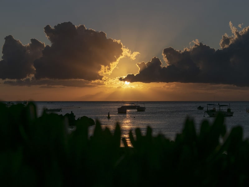 FIM DE TARDE EM MAURITIUS 2
