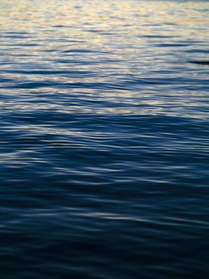 THE WATERS