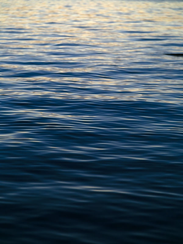 THE WATERS