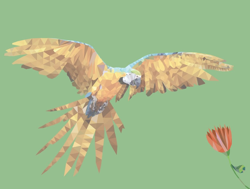 PAPAGAIO - LOW POLY