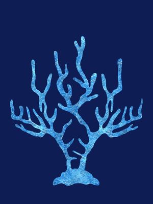 CORAL DE CRISTA