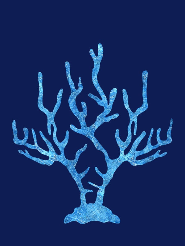 CORAL DE CRISTA