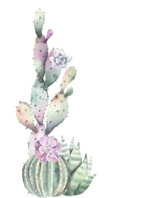 TRIO DE CACTOS E FLOR