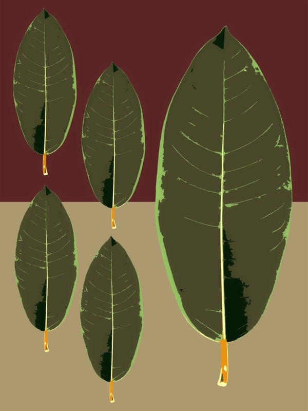 FEUILLES