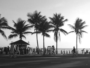 ORLA DE IPANEMA 100 PB 160X120