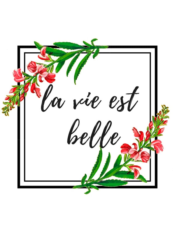 LA VIE EST BELLE - QUOTE