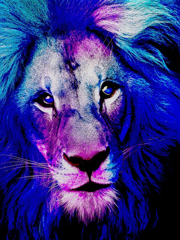 LION BLUE