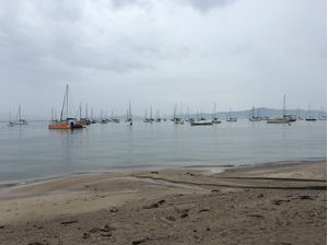 BARCOS1