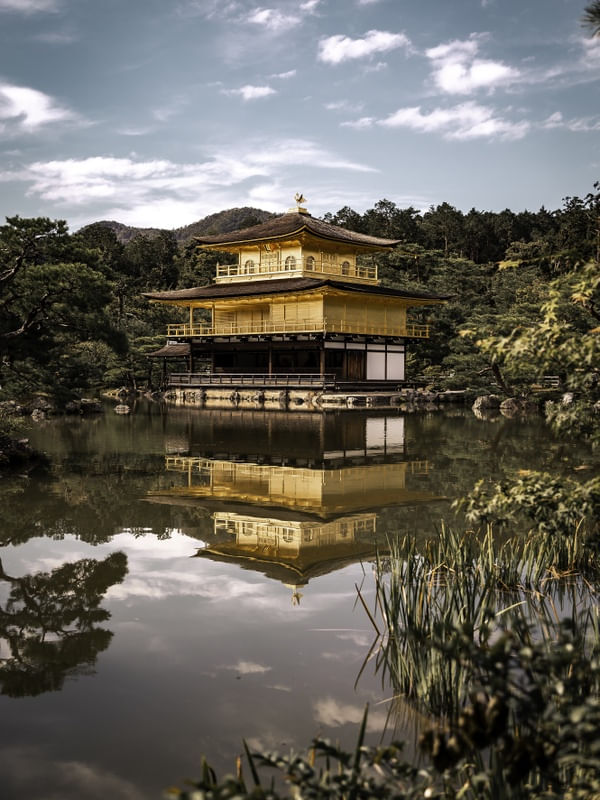 GOLDEN TEMPLE KYOTO JAPAO RETRATO