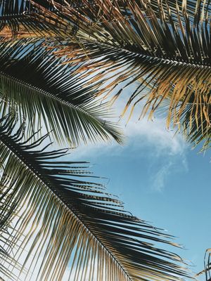 BEAUTIFUL SUMMER II