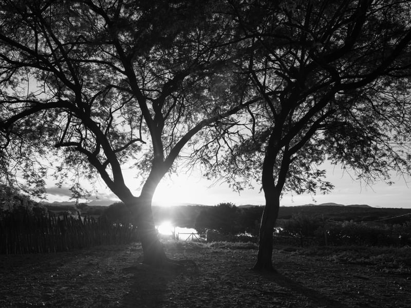 AMANHECER NA FAZENDA DIAMANTE EM SÃO FERNANDO