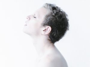 HOLLY - 4