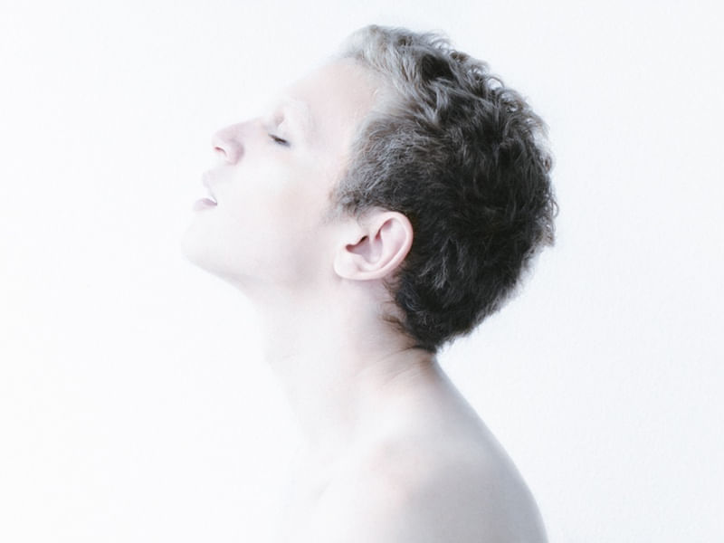 HOLLY - 4