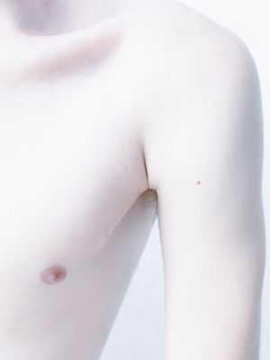 HOLLY - 8