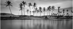 PANORÂMICA BARRA DE MAXARANGUAPE NIGRI