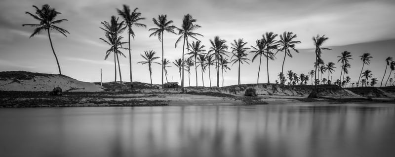 PANORÂMICA BARRA DE MAXARANGUAPE NIGRI