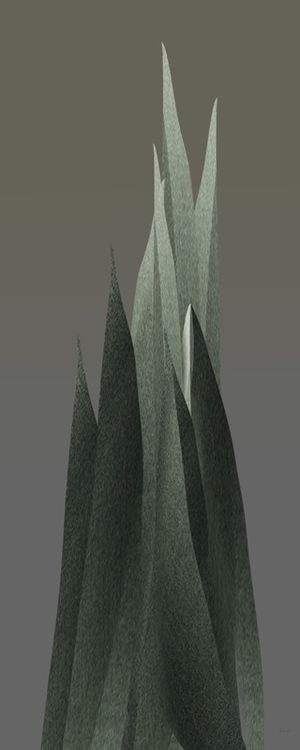 PLANTAS-TROPICAIS-2