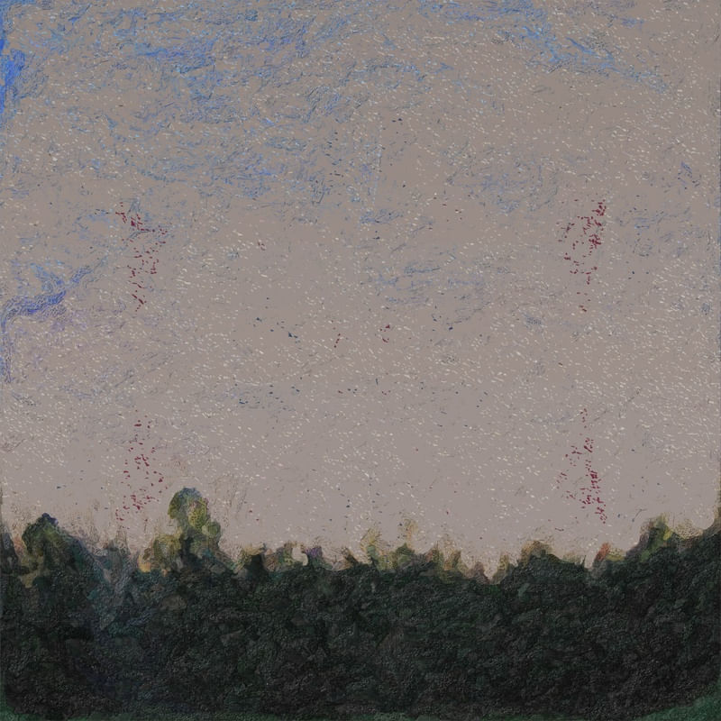 PAISAGEM 100