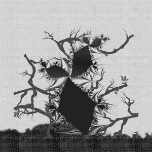 CAATINGA 101