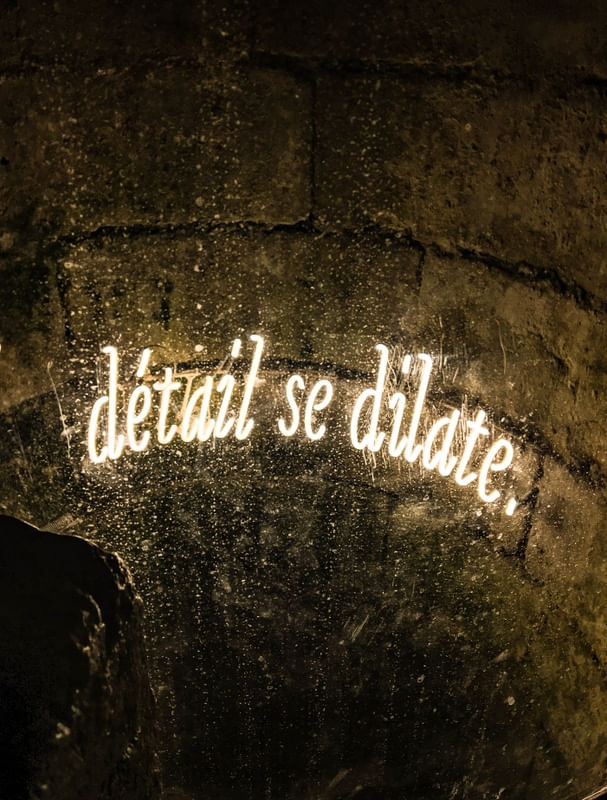 DÉTAIT SE DILATE I
