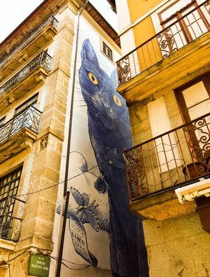 O GATO II