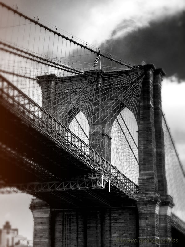 NY NY PONTE