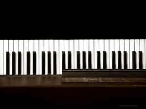 MUSIC MINIMALISTA