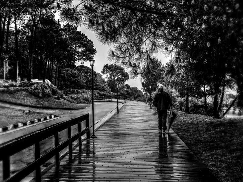RAIN DAY BW