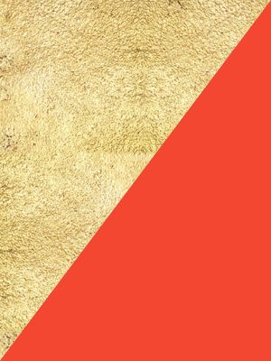 GOLD AND RED